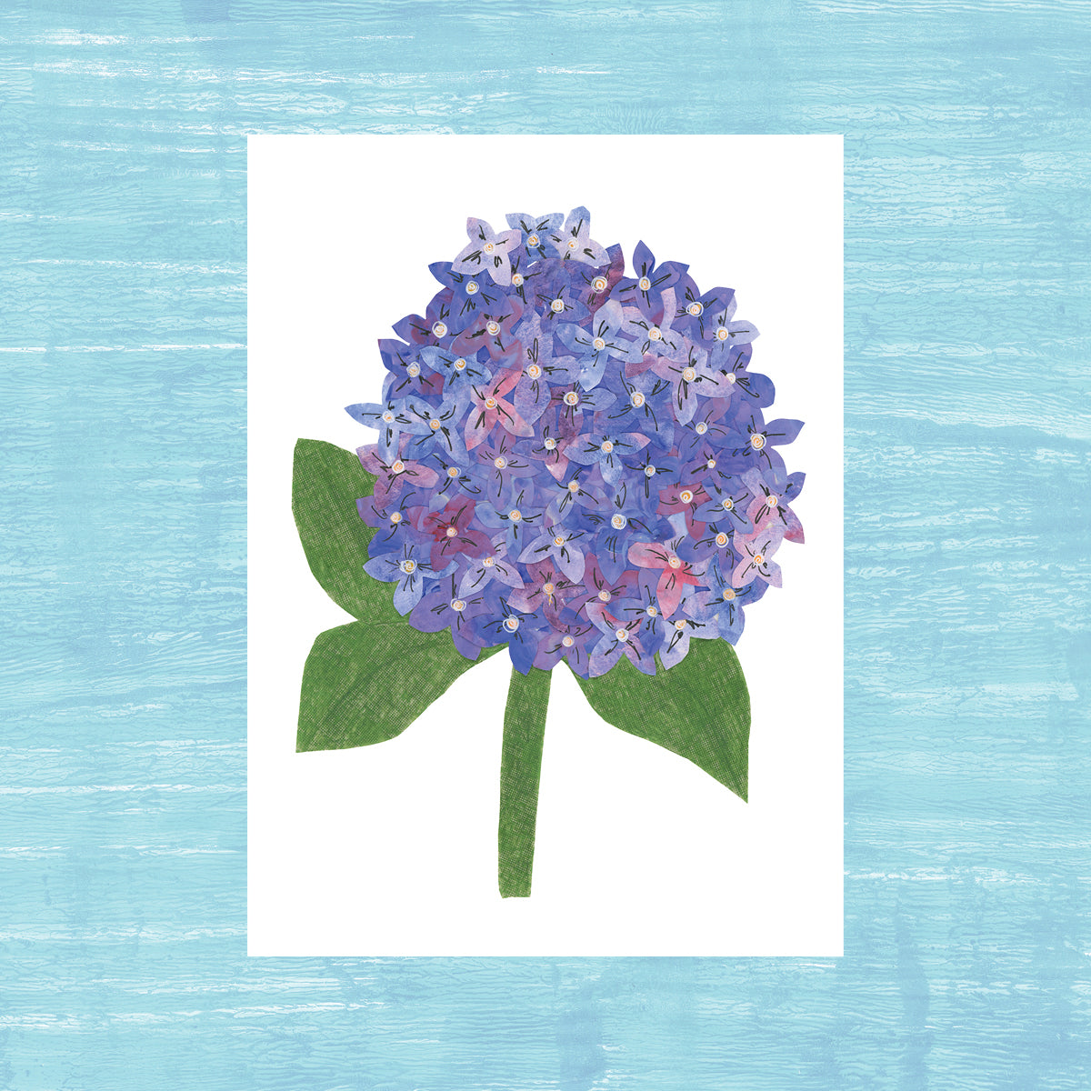 Hydrangea - greeting card